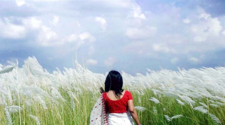 তোমার সৌন্দর্য