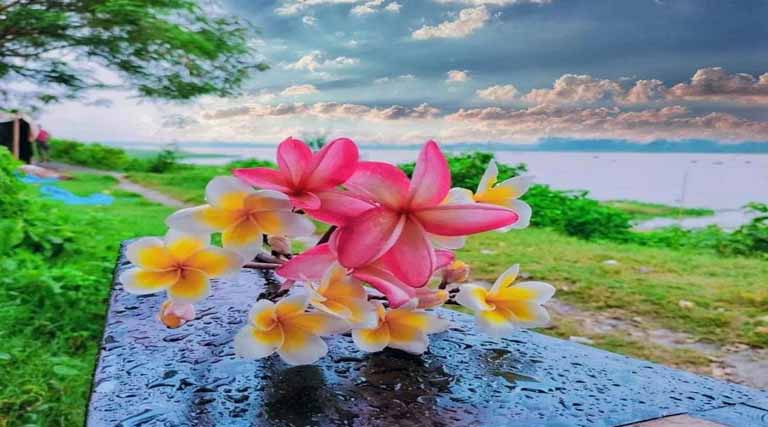 অবেলার ডাক